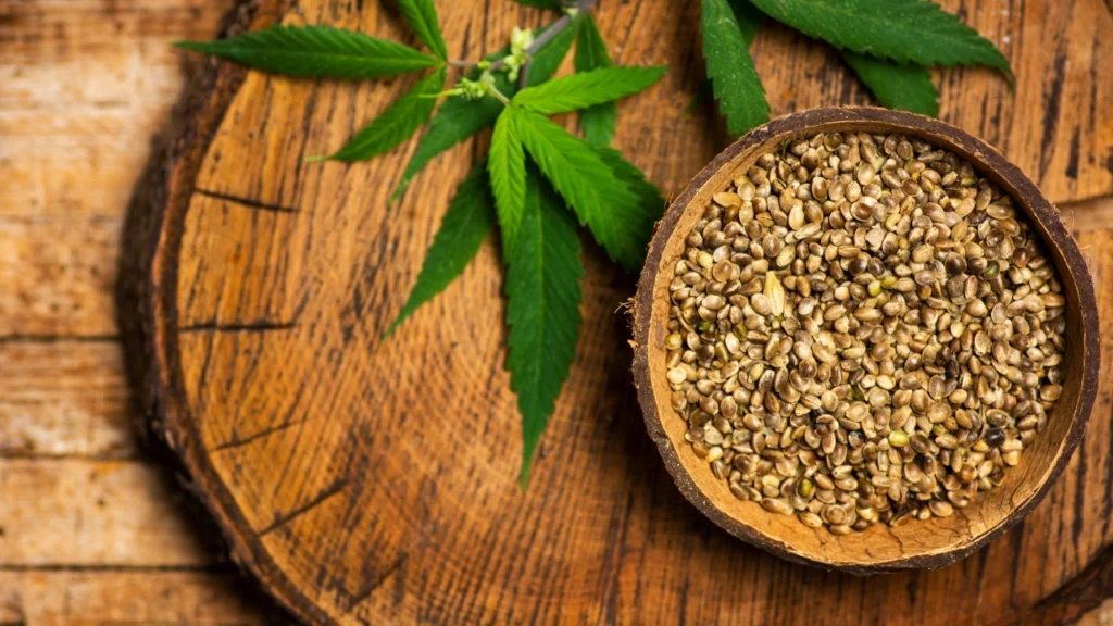 Cannabis Seeds Guide